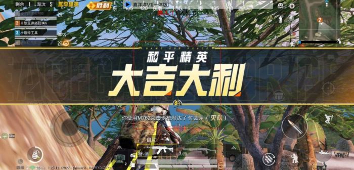 和平精英美化包永久免费版 - 全角色全枪械高清升级
